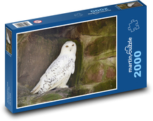 Snowy owl - white bird, animal Puzzle 2000 pieces - 90 x 60 cm
