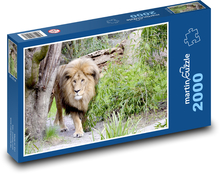 Lev - divoká mačka, dravec Puzzle 2000 dielikov - 90 x 60 cm