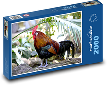 Kohút - perie, vták Puzzle 2000 dielikov - 90 x 60 cm