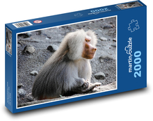Pavian - Affe, Primat Puzzle 2000 Teile - 90 x 60 cm