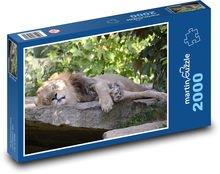 Lev - velká kočka, dravec Puzzle 2000 dílků - 90 x 60 cm