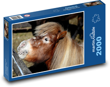 Shetlandpony - Fohlen, Pferd Puzzle 2000 Teile - 90 x 60 cm