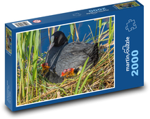 Lyska - vták, hniezdo Puzzle 2000 dielikov - 90 x 60 cm