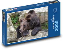 Medveď - zviera, zoo Puzzle 2000 dielikov - 90 x 60 cm