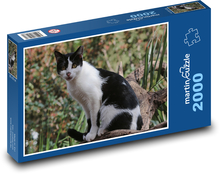 Hauskatze - Kätzchen, Tier Puzzle 2000 Teile - 90 x 60 cm