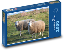 Ovce - pastvina, zvieratá Puzzle 2000 dielikov - 90 x 60 cm