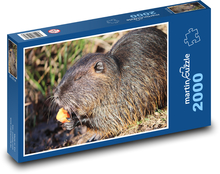 Nutrie - hlodavec, zvíře Puzzle 2000 dílků - 90 x 60 cm