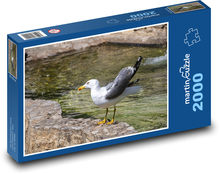 Möwe - Seevogel, Wasser Puzzle 2000 Teile - 90 x 60 cm