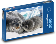 Mutterrobbe mit Jungtier - Schnee, Gletscher Puzzle 2000 Teile - 90 x 60 cm