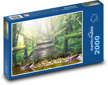 Kachny v parku - rybník, příroda Puzzle 2000 dílků - 90 x 60 cm