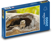 Gniazdo sowy - ptak, dziupla Puzzle 2000 elementów - 90x60 cm