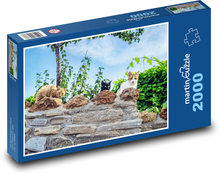 Mačky na múriku - domáci miláčikovia, zvieratá Puzzle 2000 dielikov - 90 x 60 cm