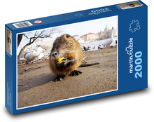 Hlodavec - zviera, nutrie Puzzle 2000 dielikov - 90 x 60 cm