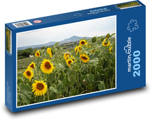 Sonnenblumenfeld Puzzle 2000 Teile - 90 x 60 cm
