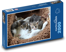 Kotě - koťátka v pelíšku Puzzle 2000 dílků - 90 x 60 cm