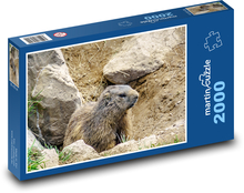 Alpy - Svišť - hlodavec Puzzle 2000 dielikov - 90 x 60 cm