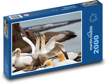 Ptaki morskie Puzzle 2000 elementów - 90x60 cm
