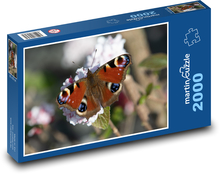 Motýľ - hmyz Puzzle 2000 dielikov - 90 x 60 cm