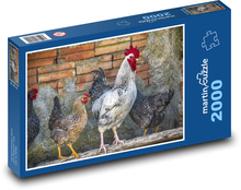Hen - rooster, domestic animals Puzzle 2000 pieces - 90 x 60 cm