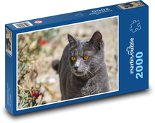 Schwarze Katze - Haustier, Tier Puzzle 2000 Teile - 90 x 60 cm