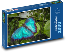 Modrý motýl - hmyz, rostlina Puzzle 2000 dílků - 90 x 60 cm