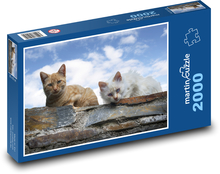 Kočky - domácí mazlíčci, zvířata Puzzle 2000 dílků - 90 x 60 cm