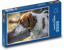 Pes - zvíře, domácí mazlíček Puzzle 2000 dílků - 90 x 60 cm