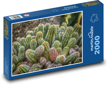 Kaktusy - příroda, rostlina Puzzle 2000 dílků - 90 x 60 cm