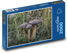 Mushrooms - herb, field Puzzle 2000 pieces - 90 x 60 cm
