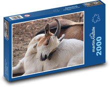 Koza - zwierzę domowe, gospodarstwo Puzzle 2000 elementów - 90x60 cm