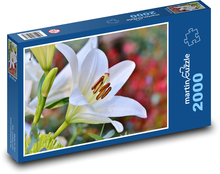 Bílá lilie - květina, zahrada Puzzle 2000 dílků - 90 x 60 cm