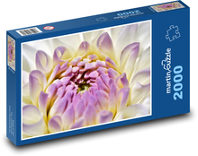 Kvet georgíny - rastlina, ružový kvet Puzzle 2000 dielikov - 90 x 60 cm