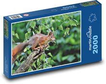Squirrel on a tree - forest, rodent Puzzle 2000 pieces - 90 x 60 cm