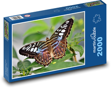Butterfly - insects, wings Puzzle 2000 pieces - 90 x 60 cm