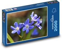 Ladonka - Scilla, Blume Puzzle 2000 Teile - 90 x 60 cm