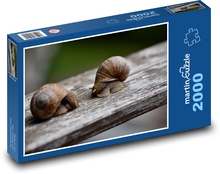 Ślimaki - ślimaki, mięczaki Puzzle 2000 elementów - 90x60 cm