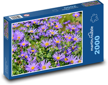 Astry - fialové květy, rostliny Puzzle 2000 dílků - 90 x 60 cm