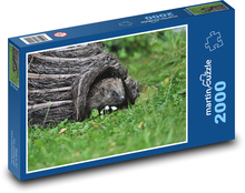 Ježek - bodliny, zvíře  Puzzle 2000 dílků - 90 x 60 cm