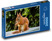Zwierzę, gryzoń - Wiewiórka Puzzle 2000 elementów - 90x60 cm