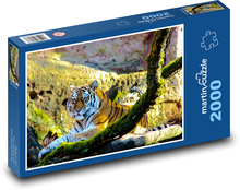 Tiger, šelma, dravec Puzzle 2000 dielikov - 90 x 60 cm