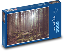 Český les - stromy, smrek Puzzle 2000 dielikov - 90 x 60 cm
