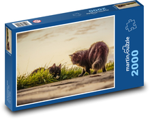 Katzen - Sonnenuntergang, Tiere Puzzle 2000 Teile - 90 x 60 cm