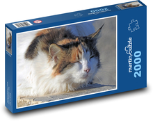 Sleeping cat - pet, whiskers Puzzle 2000 pieces - 90 x 60 cm