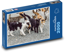 Wild cats - animals, together Puzzle 2000 pieces - 90 x 60 cm