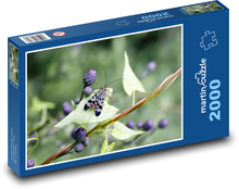 Hmyz - chrobák Puzzle 2000 dielikov - 90 x 60 cm