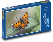 Motyl - owad, chrząszcz Puzzle 2000 elementów - 90x60 cm