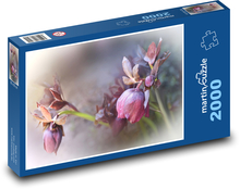Hellebore - spring, plant Puzzle 2000 pieces - 90 x 60 cm