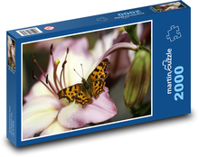 Motýl na květině - lilie, makro  Puzzle 2000 dílků - 90 x 60 cm