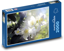 Weiße Blume - Baum, Frühling Puzzle 2000 Teile - 90 x 60 cm