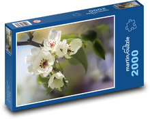 Kvety - čerešňa, strom Puzzle 2000 dielikov - 90 x 60 cm
